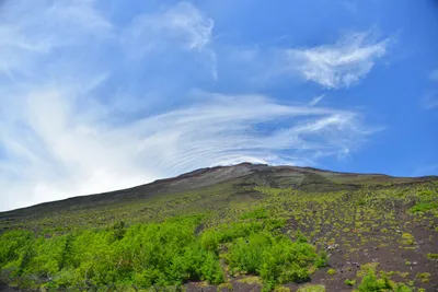 DSC_3630 (Large).JPG